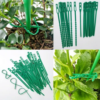 50pcs Регулируеми пластмасови растителни кабелни връзки за многократна употреба кабелни връзки за градинско дърво катерене подкрепа растение лоза домат стволови клип