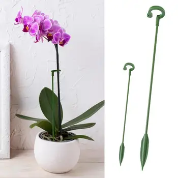 Поддръжка на растенията 10 опаковки Градина Единична стъблена растителна подкрепа обръчи Растителна подпора за цветя Орхидея домати божур Phalaenopsis