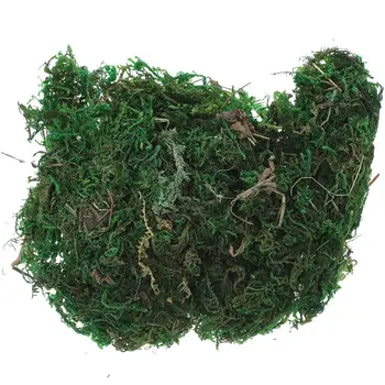 Симулация на изкуствен мъх лишеи Фалшиви зелени растения за декорация на вътрешен двор (20g / малка опаковка) Бонсай дърво