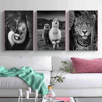 Сладък плакат за животни от алпака и отпечатъци Черно бяло стена изкуство детска стая платно живопис картини за хол Начало Cuadros декор